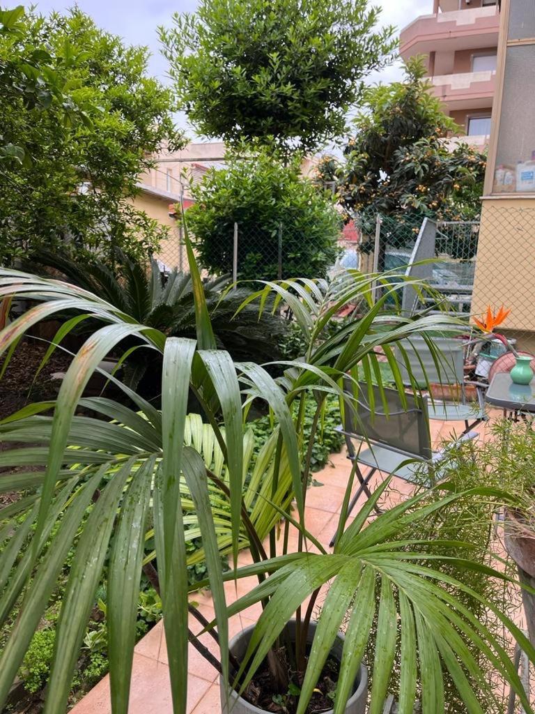 Tangerine Tree House Apartment Cagliari Exterior photo